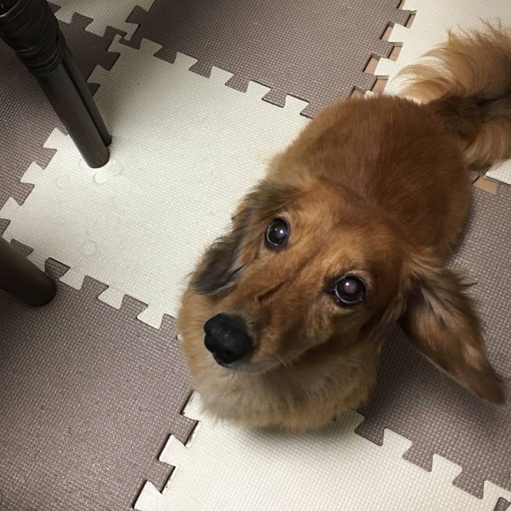 0f75503b 9d15 45c2 96de f869f73f7b55 1535121681925