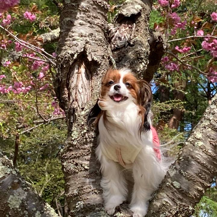 0f755de3 c53d 43af 93fe 6a5847bd40a4 1651991648304