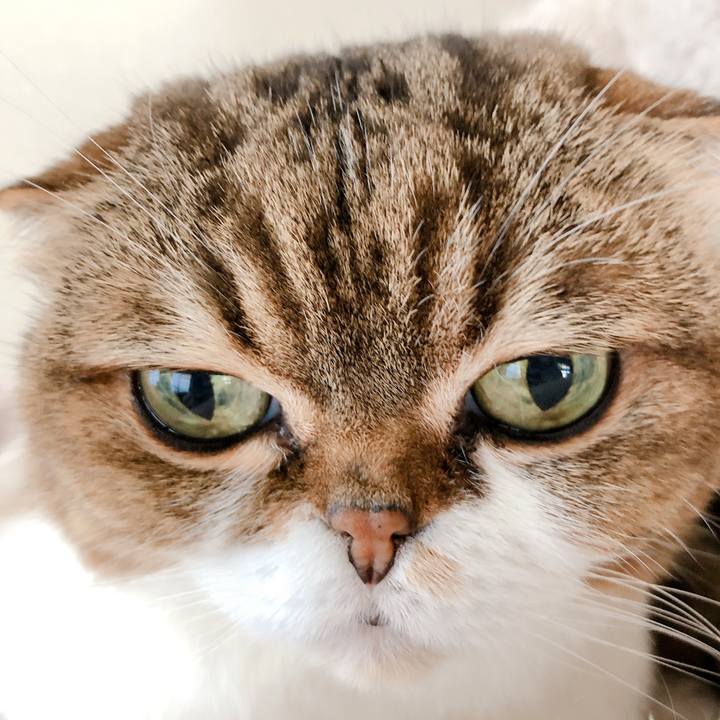 0f755fb4 d4ac 47a3 ae22 fe4fc8e01b2c 1576297172187