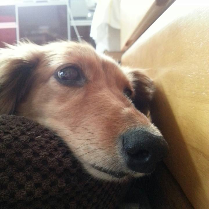 0f757509 8b80 4abd 9619 7e44f6e364aa 1526454892545