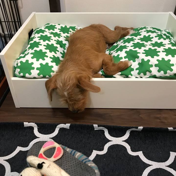 0f758bd7 a265 4b58 92b3 b13d4fa69223 1521979187458