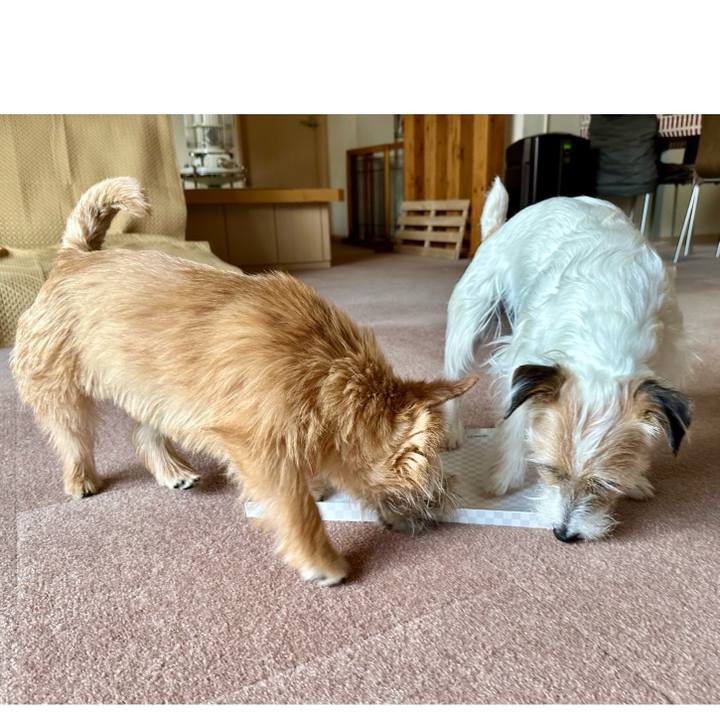 0f759853 7bc8 4731 9f75 32485e38dc7f 1712584665412