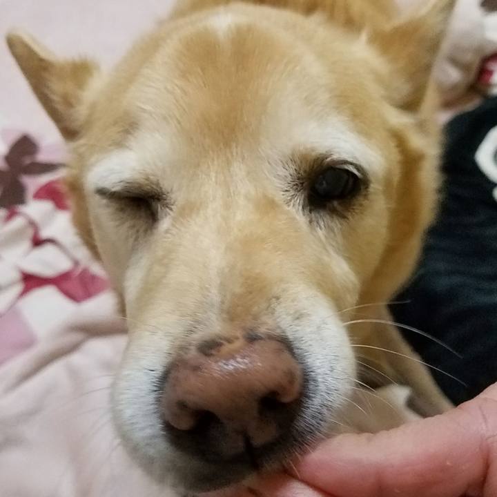 0f75ac10 c9d2 477b a0a8 403157e22705 1767192798023