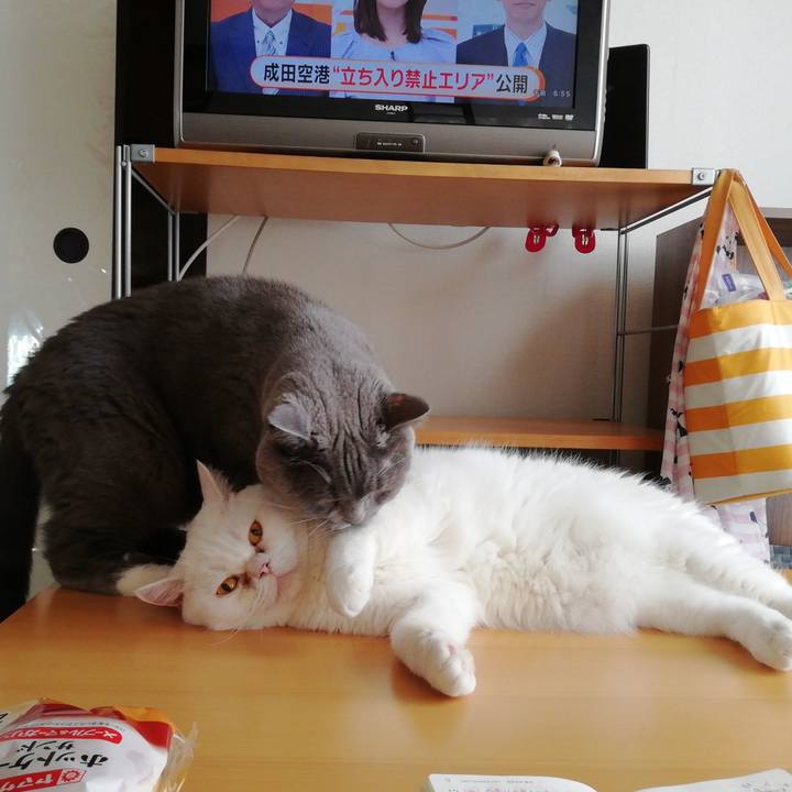 0f75b21a 3b36 4746 b408 6e7242b70c28 1632088776586