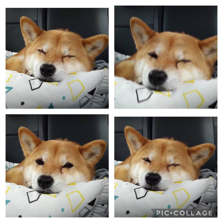 0f75de6d af84 4e74 b17a a0eb4fa3339c 1715754629610