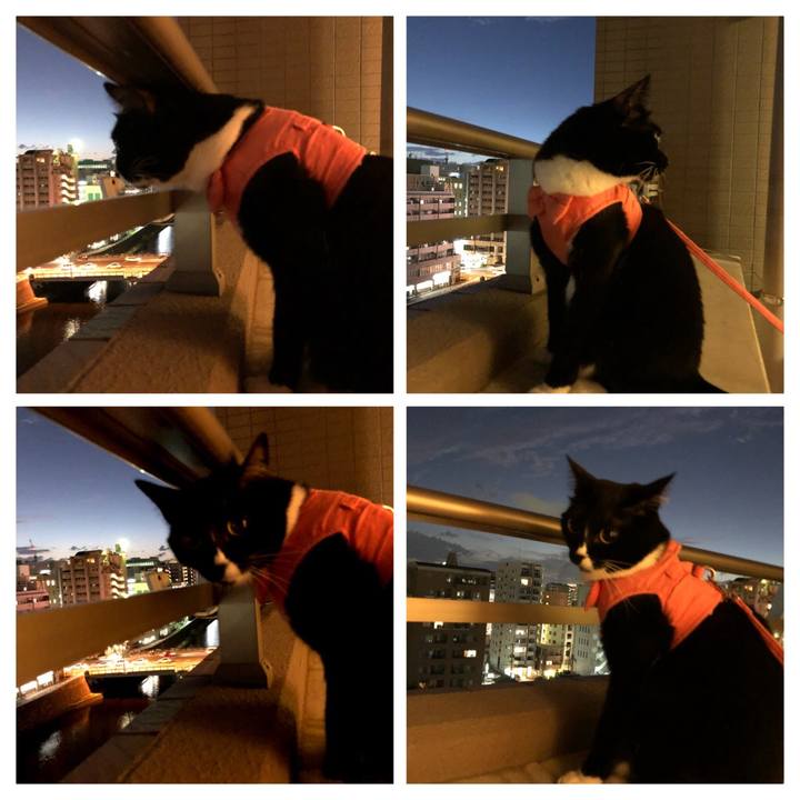 0f760f06 e222 41d9 a5ec 9bcbb1ece15b 1537999740050