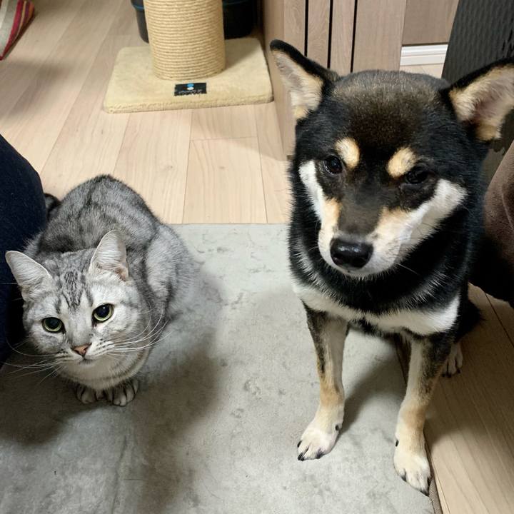 0f765997 da8b 42bc 8959 039c787b49ac 1612274898559