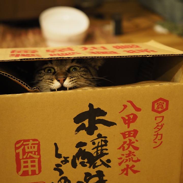 0f76ad0f 3c05 4be9 bf35 05511d083ff8 1626869185611