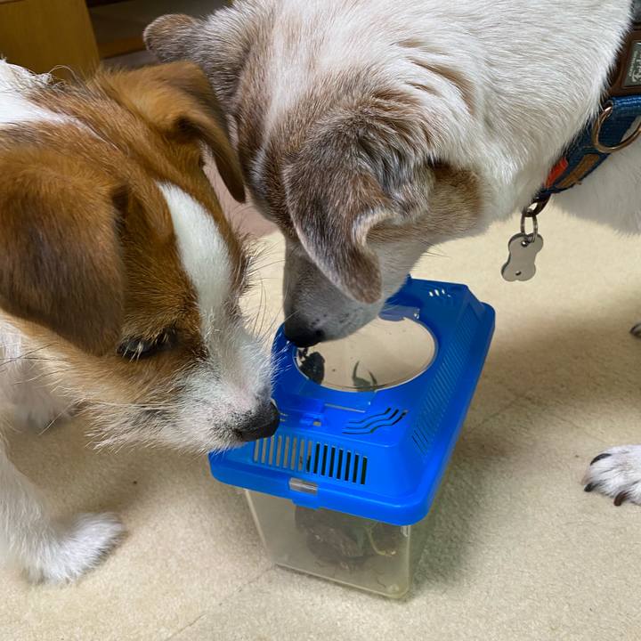 0f76b321 1ffb 4bc0 acbc f3617dd148d7 1628028213749