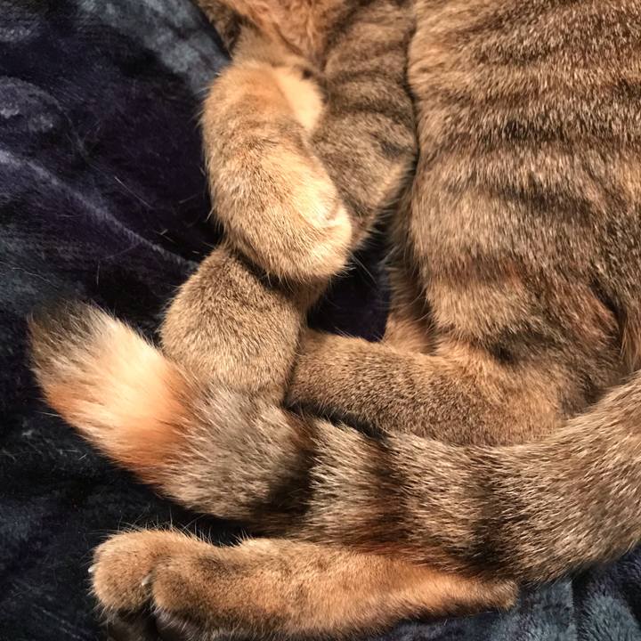 0f76c24d 3685 444c 9f33 d6f129ec54ed 1585443784070