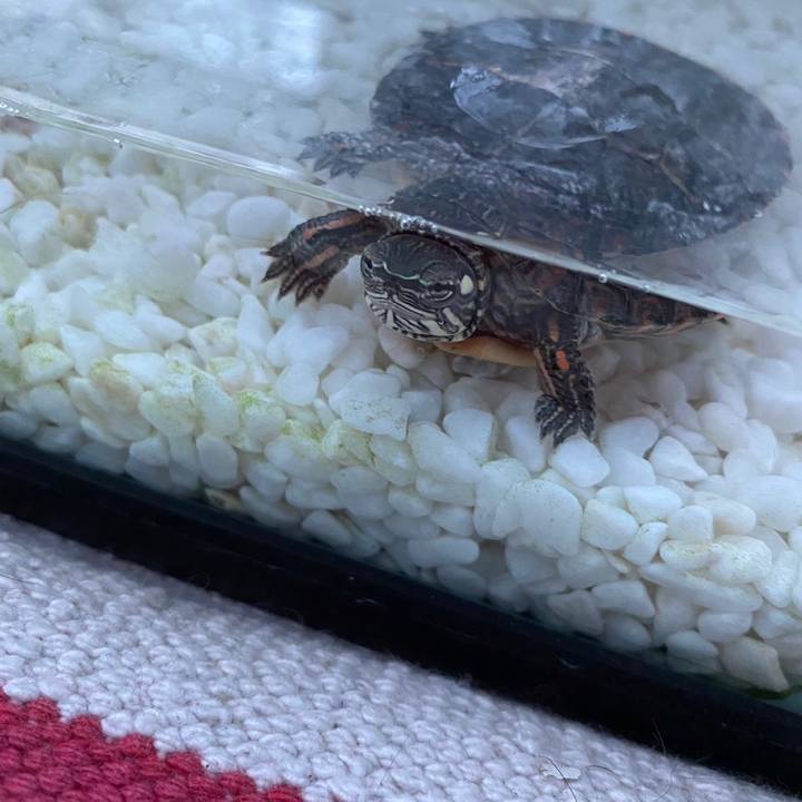 0f76e94d 0950 4faf 9546 058fa15f786f 1646199674623