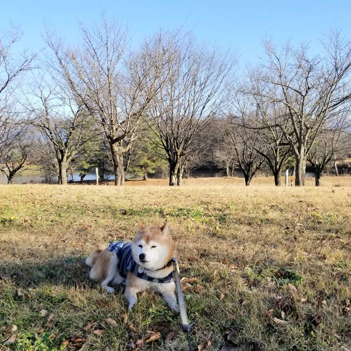 0f76f18b 5c56 4a9e 8d44 593e0c0c667e 1670564271553