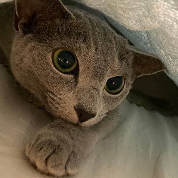 0f77183c a29c 4c0f 8a37 77d5ff59c717 1627724922185