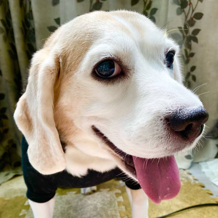 0f774343 0e25 4fc7 b3db b91643da5603 1652154295127