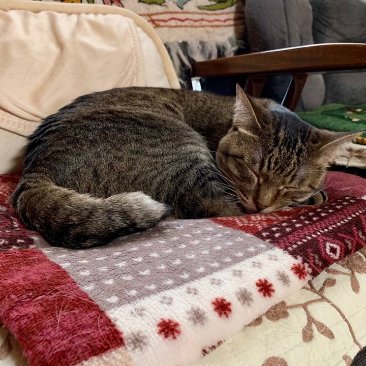 0f7762d7 cc85 4455 a704 18e3fd9d98b5 1560758526650