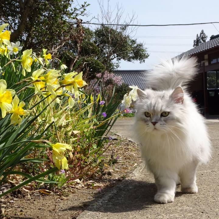 0f777174 423b 4e82 8d10 e9ca34e73640 1616846125023