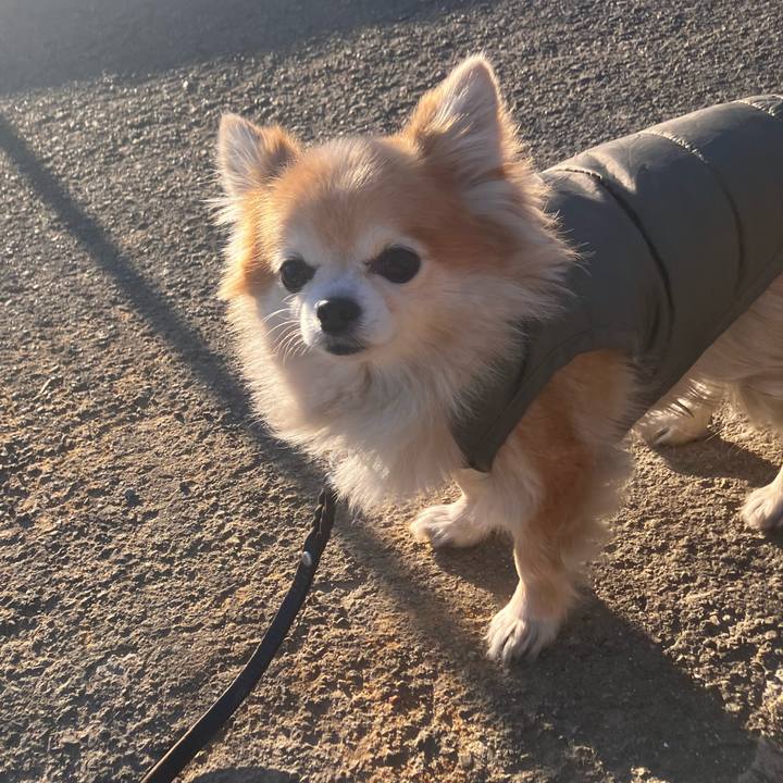 0f77879f 7854 4e04 9006 1c165d84cc42 1770103935348