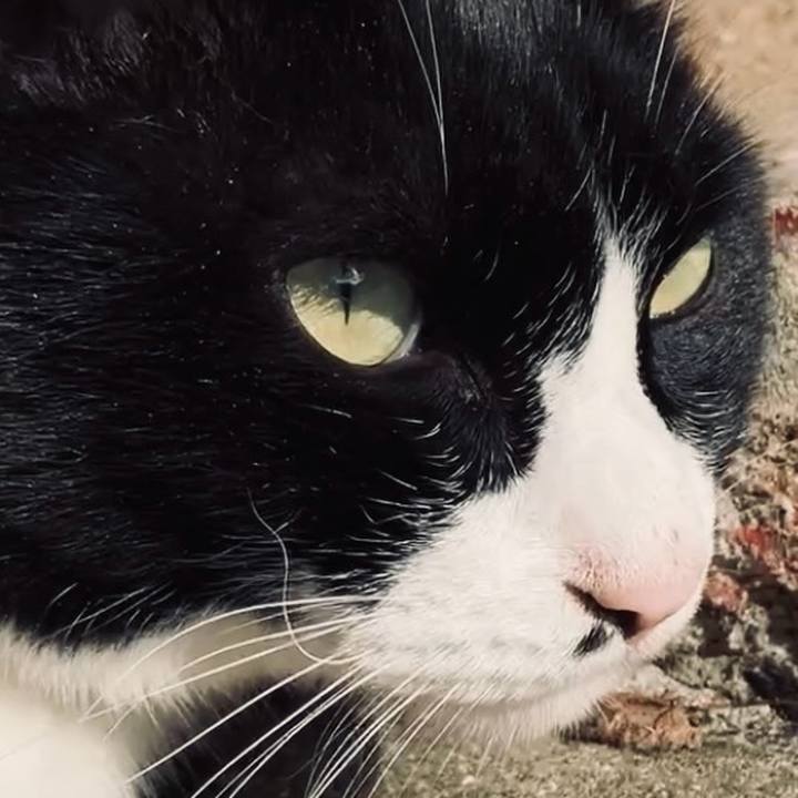 0f779665 8a5a 4f1b a023 6d12c210bf77 1733541733873