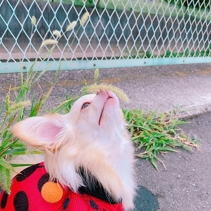 0f7797b3 469a 49dc 9083 9440589b58c6 1627635592348