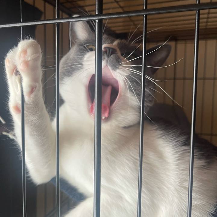 0f77a241 33d3 4b8a bb88 d5a166468cee 1624862110509