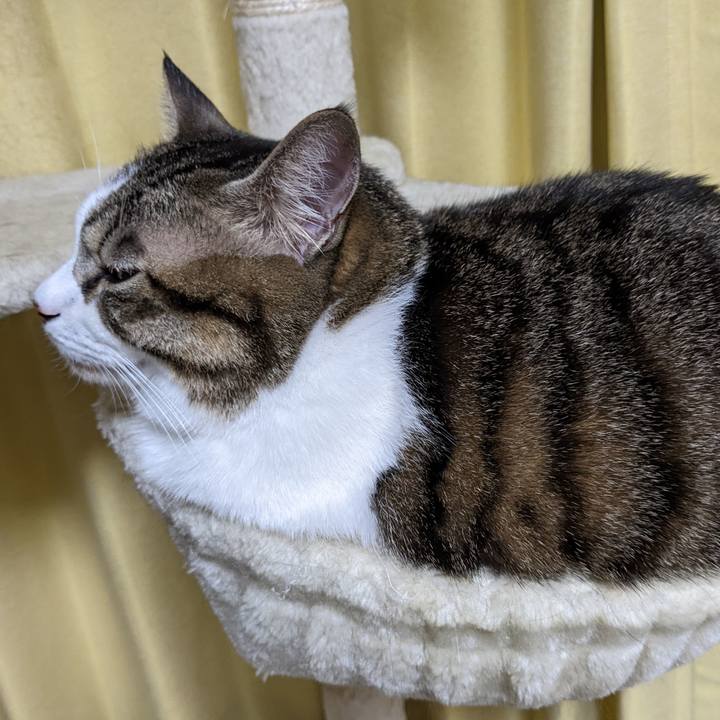 0f77a65d c5a4 4dbc b25d 9e11f3fd2c09 1667901916254