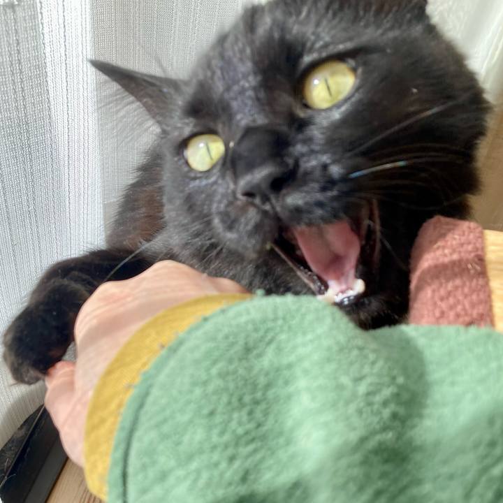 0f77b2c3 6dc1 47cb 9593 340d275e1f2a 1736850379675