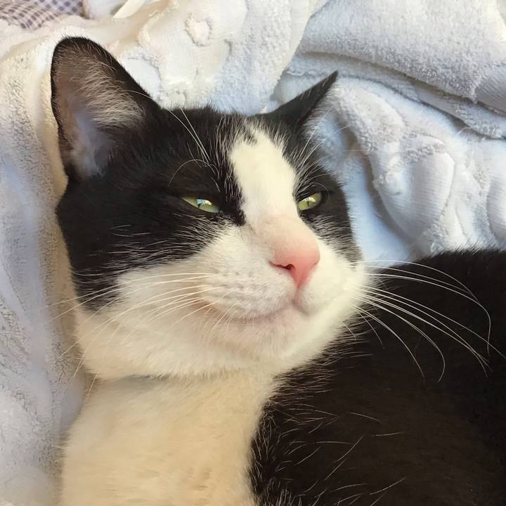 0f77baa6 1eac 4cff 960c 70c80c382cad 1728983677232