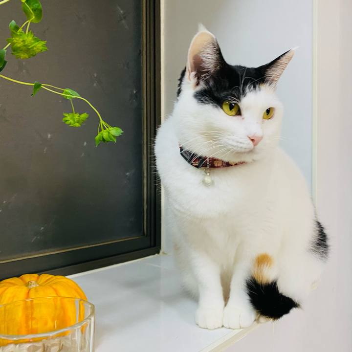 0f77e233 c743 4431 8479 a0a7ca4f476c 1673871973215