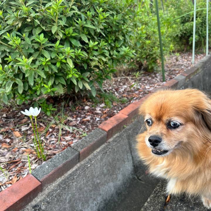 0f783ca7 8514 422f 9be3 e64683a54fce 1758236048475