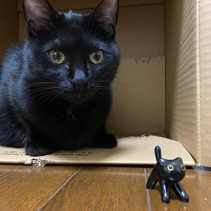 0f785c54 24e4 4462 93bd 1e6470197a21 1634467346454