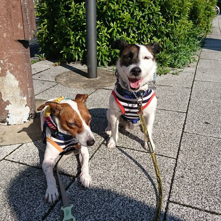 0f78858f 7d2c 490d 9cff 4c7e1e89c6c9 1593644282967