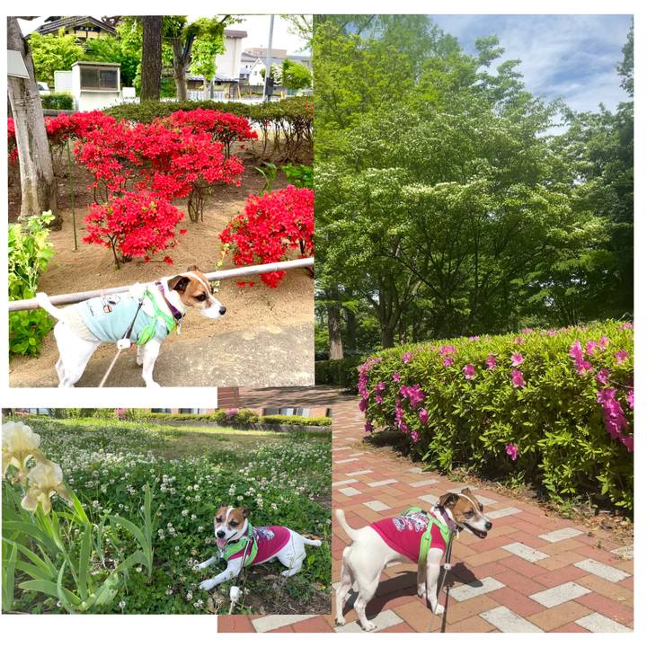 0f7898bf c732 4d7e be03 625d7a4f17e1 1747033710131