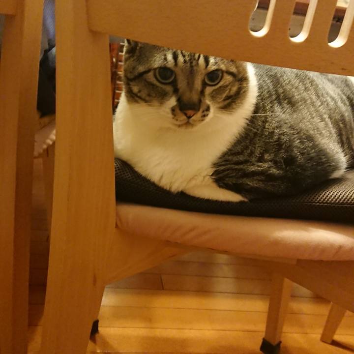 0f78b2e9 3b77 4324 8c69 37a23f5d4bea 1523361207335