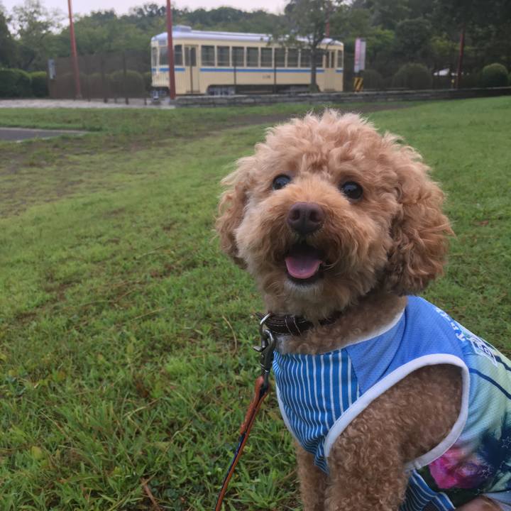 0f78c2a5 3c7a 41ac 8e95 26c6387c38dc 1533340469084