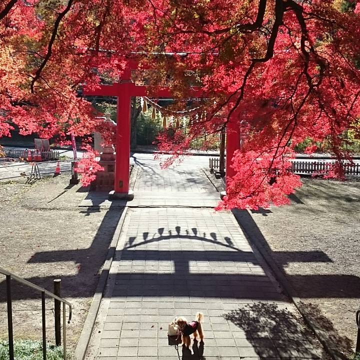 0f78f1a2 1512 4853 ba87 0c59aa90b577 1510534453589