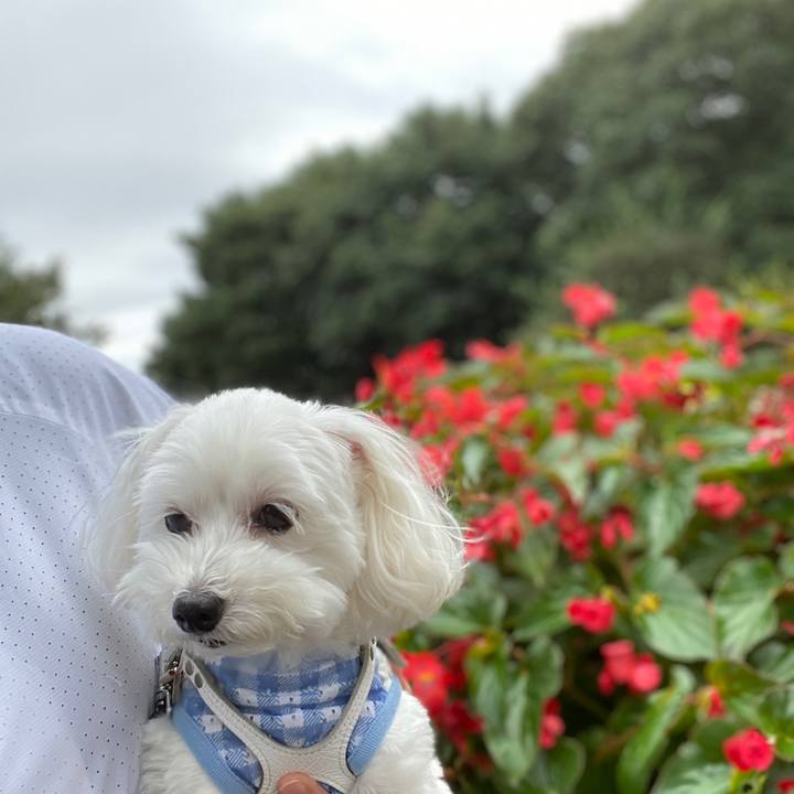 0f790be1 5d30 45d4 a797 69ffbfe4014e 1571282185258