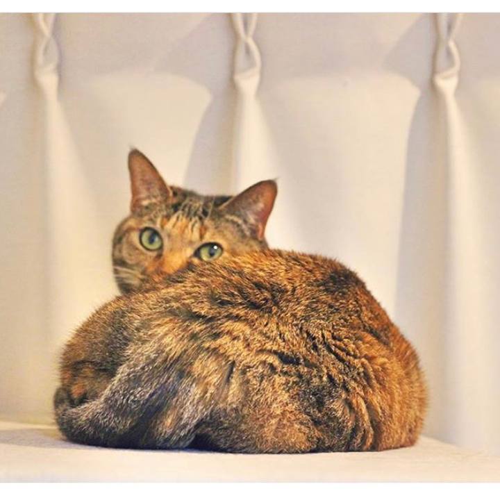 0f790f9d b0dd 44f1 9aaa 037d0acff43e 1557321818447