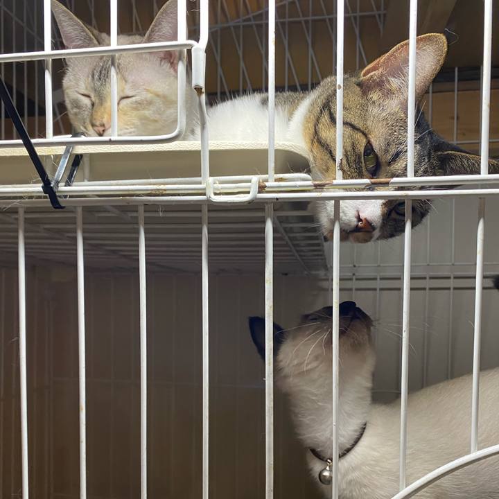 0f794ec8 c3ca 4005 b2f5 e8686085f6c3 1689406242656