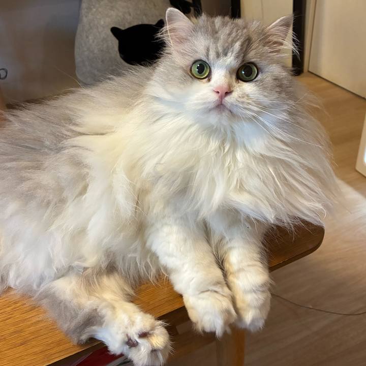 0f795caf 46ab 45b4 b6a4 5dbe1fb8ecda 1765713990616