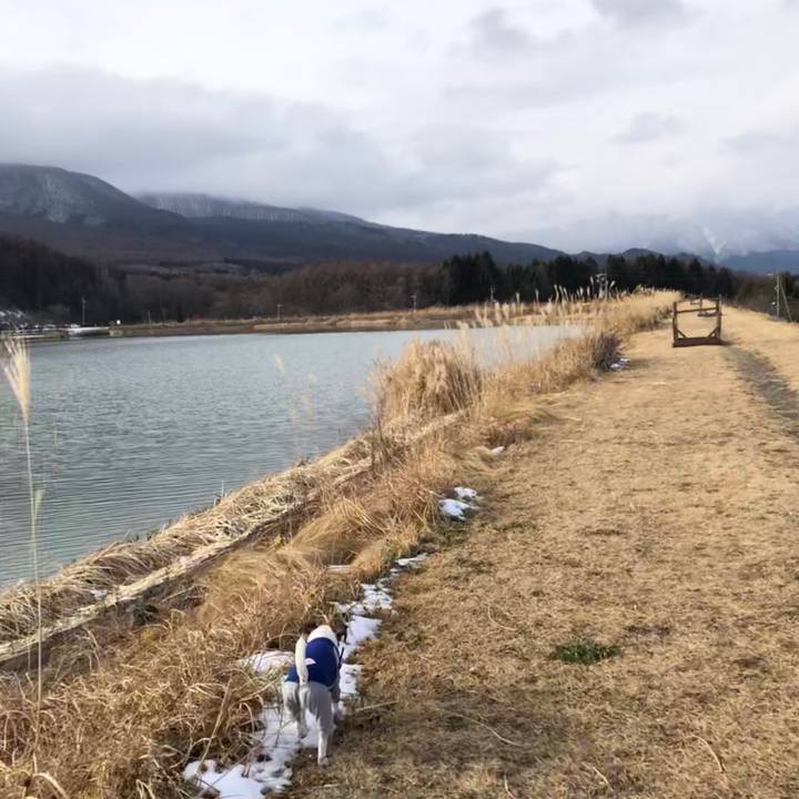 0f7960fd 8b79 437e 8744 3d6d7be628ff 1545810621765