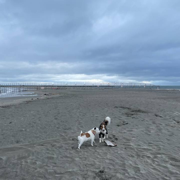 0f798369 7560 45e8 8250 010567f1db5b 1719185328929