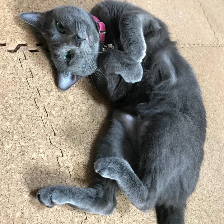 0f799c1a d78c 4928 bcf7 96e973e81610 1522840154212