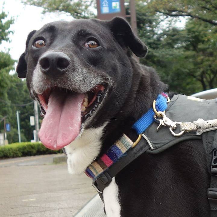 0f79e5f0 7422 49f1 a98c e4743c7a33b3 1662078297342