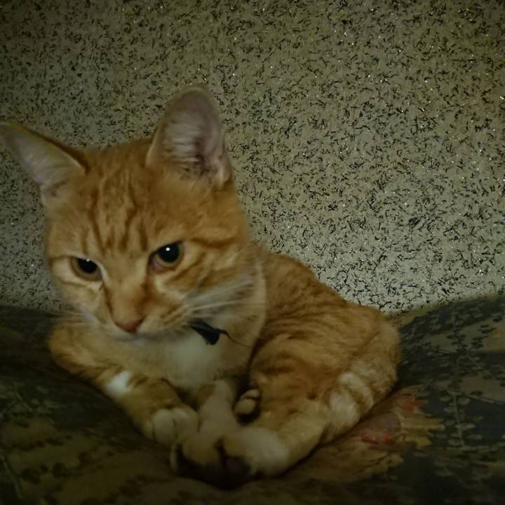 0f7a857e 57a4 48ca 8c92 f8c51e28cca6 1602674982206