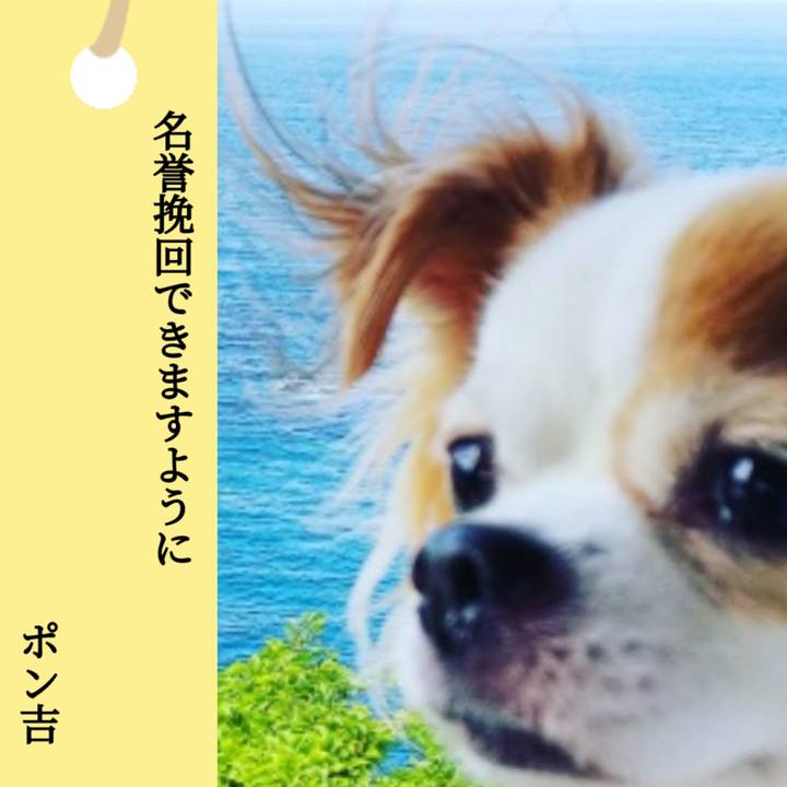 0f7abf3c 1f3a 47cb 8969 7a2dde6ce913 1688709338080