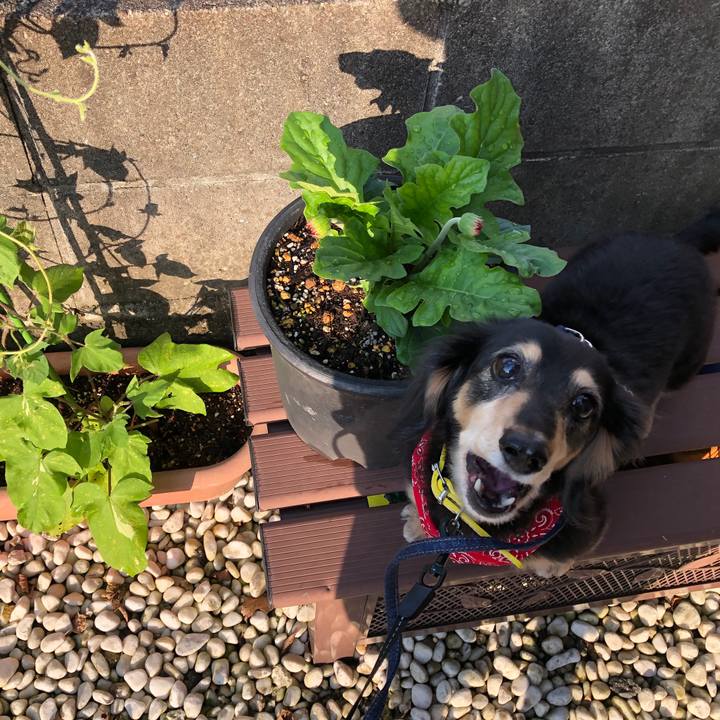 0f7ac330 385a 4eb1 bc46 e388dab67f15 1593339313981