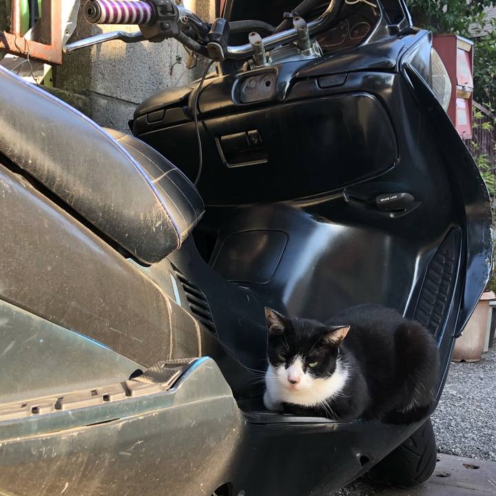 0f7ae3c0 ecf7 4c63 8baa 7d9a15ee69e2 1601366112761