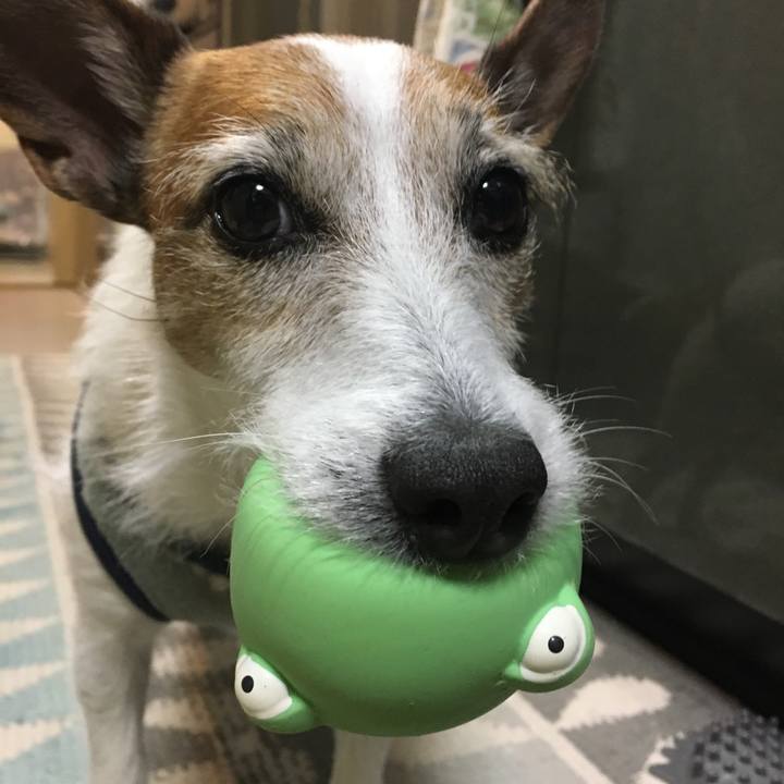 0f7afcf1 5165 45d5 8984 e32bde5b7ef1 1644535589628