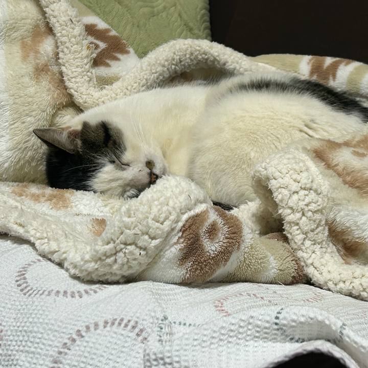 0f7b20fa 0bd9 4cfc a998 379b232dad84 1737179927326