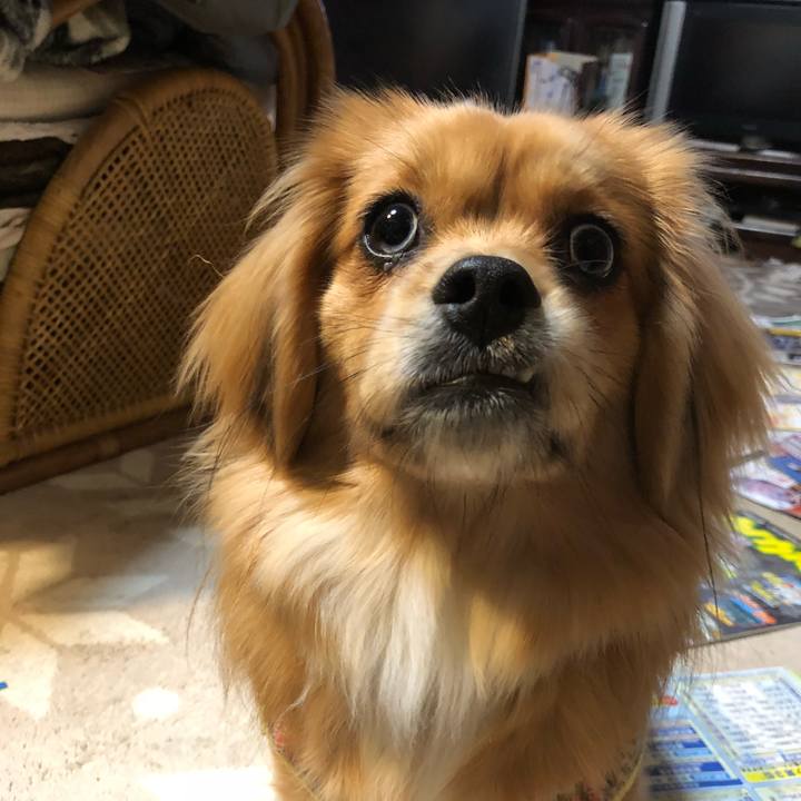 0f7b368c c6be 4ab7 ae7e c9936b3c4e92 1519250593179